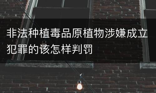 非法种植毒品原植物涉嫌成立犯罪的该怎样判罚