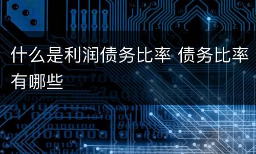 什么是利润债务比率 债务比率有哪些