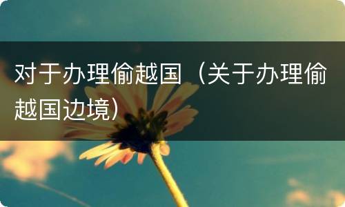 对于办理偷越国（关于办理偷越国边境）