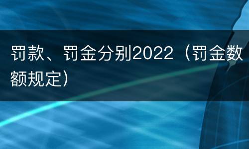 罚款、罚金分别2022（罚金数额规定）