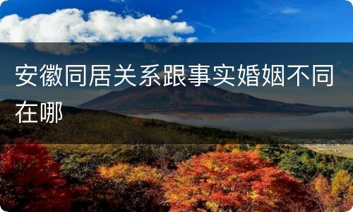 安徽同居关系跟事实婚姻不同在哪