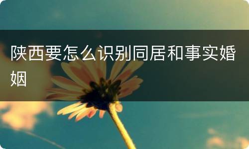 陕西要怎么识别同居和事实婚姻