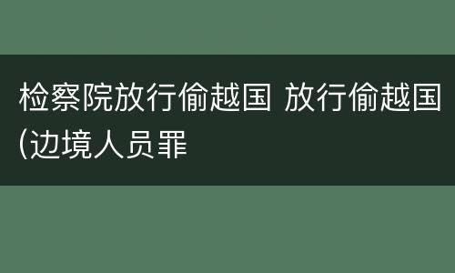 检察院放行偷越国 放行偷越国(边境人员罪