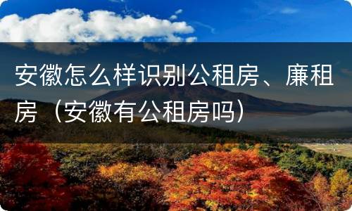 安徽怎么样识别公租房、廉租房（安徽有公租房吗）
