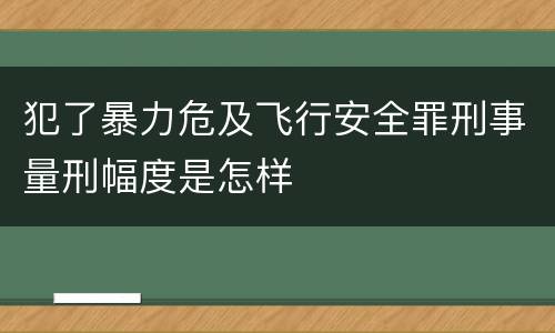 犯了暴力危及飞行安全罪刑事量刑幅度是怎样