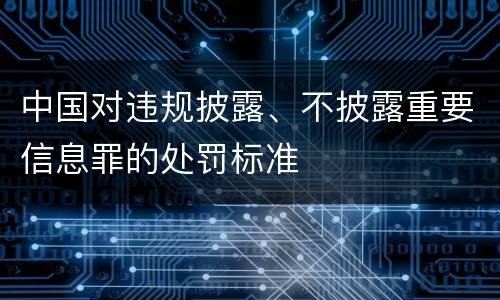 中国对违规披露、不披露重要信息罪的处罚标准