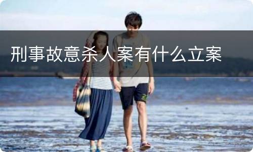 刑事故意杀人案有什么立案