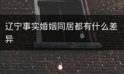 辽宁事实婚姻同居都有什么差异