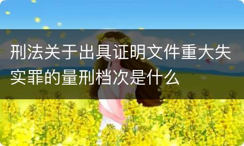 刑法关于出具证明文件重大失实罪的量刑档次是什么