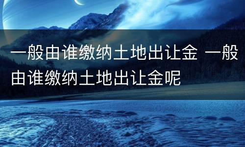一般由谁缴纳土地出让金 一般由谁缴纳土地出让金呢
