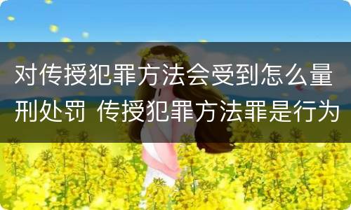 对传授犯罪方法会受到怎么量刑处罚 传授犯罪方法罪是行为犯吗