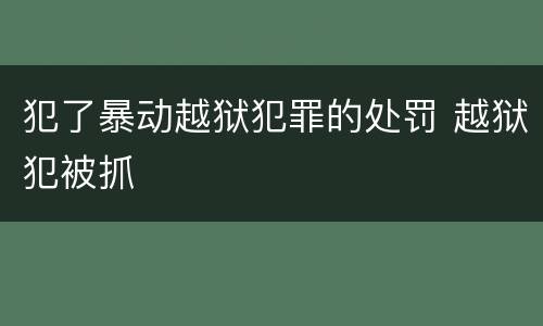 犯了暴动越狱犯罪的处罚 越狱犯被抓