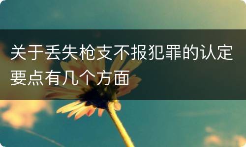 关于丢失枪支不报犯罪的认定要点有几个方面
