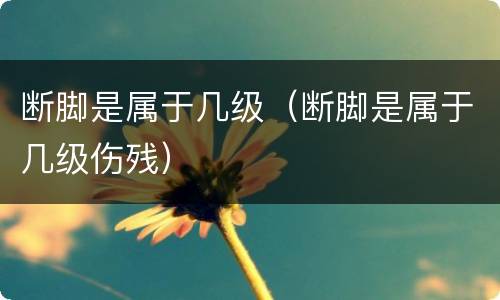断脚是属于几级（断脚是属于几级伤残）