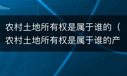 农村土地所有权是属于谁的（农村土地所有权是属于谁的产权）