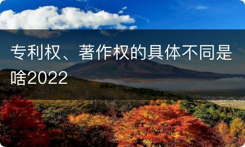 专利权、著作权的具体不同是啥2022