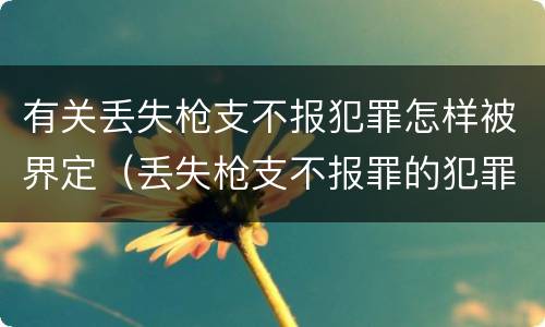 有关丢失枪支不报犯罪怎样被界定（丢失枪支不报罪的犯罪主体只能是什么）