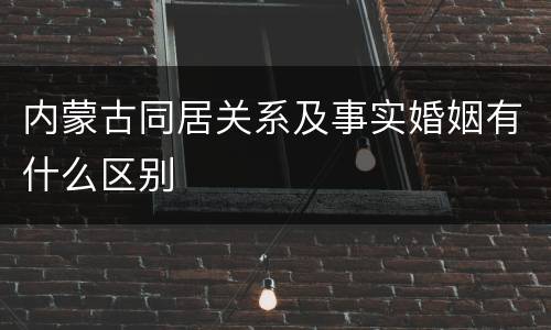 内蒙古同居关系及事实婚姻有什么区别