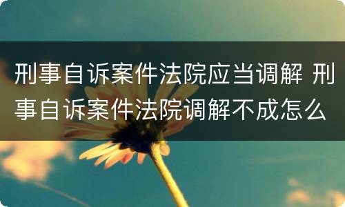 刑事自诉案件法院应当调解 刑事自诉案件法院调解不成怎么处理