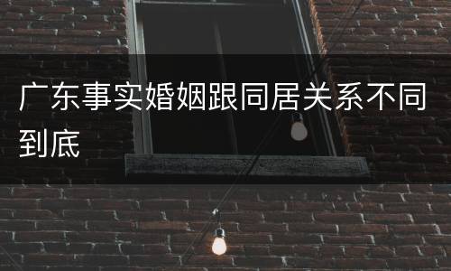 广东事实婚姻跟同居关系不同到底