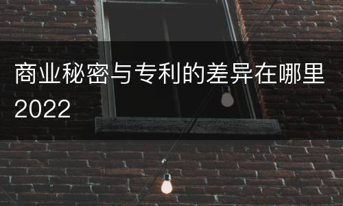 商业秘密与专利的差异在哪里2022