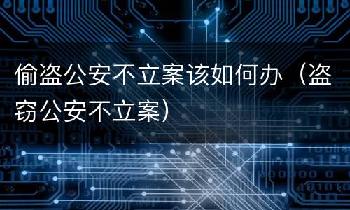 偷盗公安不立案该如何办（盗窃公安不立案）