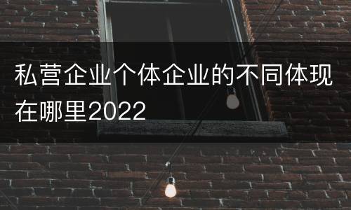 私营企业个体企业的不同体现在哪里2022