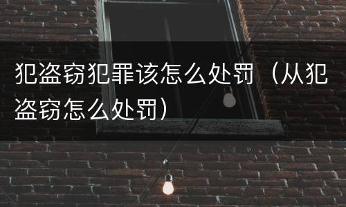 犯盗窃犯罪该怎么处罚（从犯盗窃怎么处罚）