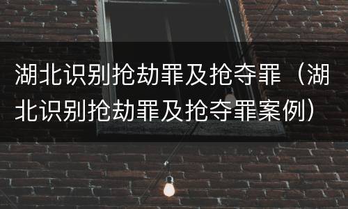 湖北识别抢劫罪及抢夺罪（湖北识别抢劫罪及抢夺罪案例）