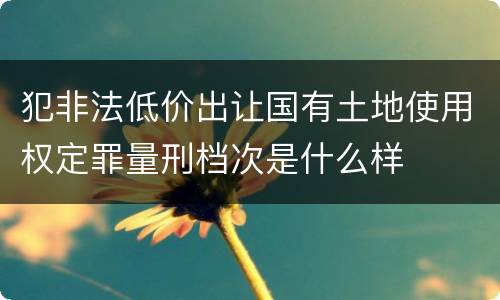 犯非法低价出让国有土地使用权定罪量刑档次是什么样
