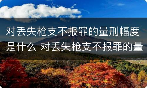 对丢失枪支不报罪的量刑幅度是什么 对丢失枪支不报罪的量刑幅度是什么意思