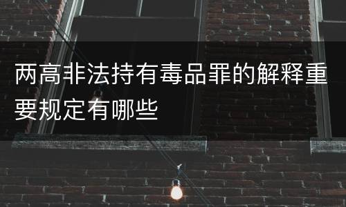 两高非法持有毒品罪的解释重要规定有哪些