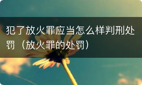 犯了放火罪应当怎么样判刑处罚（放火罪的处罚）