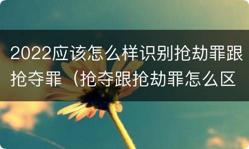 2022应该怎么样识别抢劫罪跟抢夺罪（抢夺跟抢劫罪怎么区分）