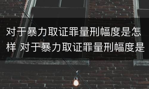 对于暴力取证罪量刑幅度是怎样 对于暴力取证罪量刑幅度是怎样计算的