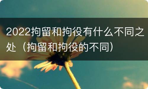 2022拘留和拘役有什么不同之处（拘留和拘役的不同）