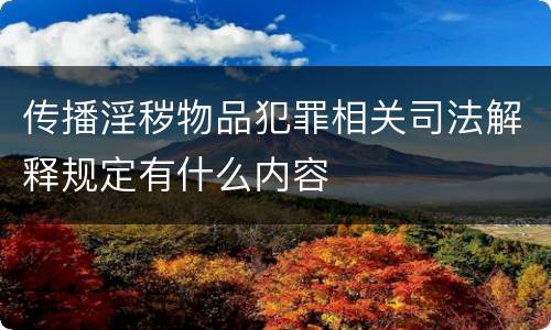 传播淫秽物品犯罪相关司法解释规定有什么内容