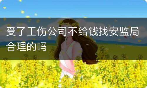 受了工伤公司不给钱找安监局合理的吗