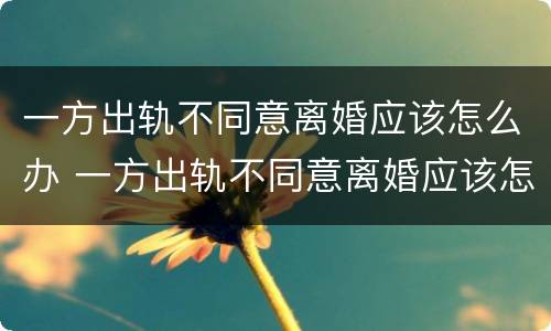 一方出轨不同意离婚应该怎么办 一方出轨不同意离婚应该怎么办手续
