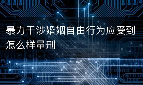 暴力干涉婚姻自由行为应受到怎么样量刑