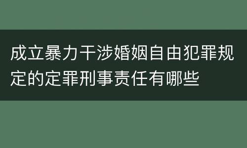 成立暴力干涉婚姻自由犯罪规定的定罪刑事责任有哪些