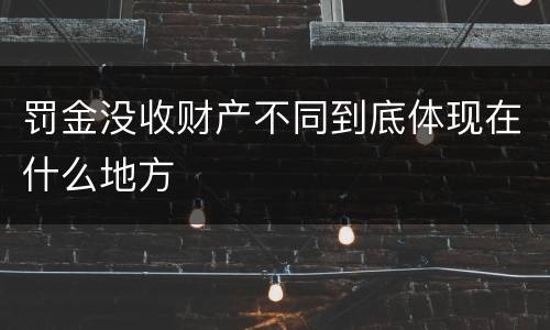 罚金没收财产不同到底体现在什么地方