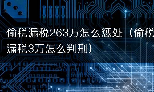 偷税漏税263万怎么惩处（偷税漏税3万怎么判刑）