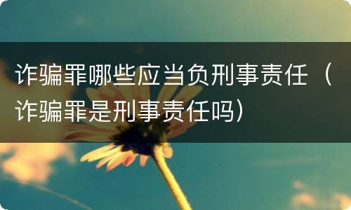 诈骗罪哪些应当负刑事责任（诈骗罪是刑事责任吗）