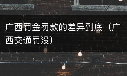 广西罚金罚款的差异到底（广西交通罚没）