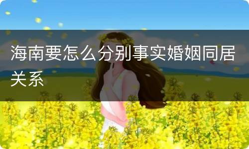 海南要怎么分别事实婚姻同居关系