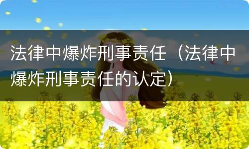 法律中爆炸刑事责任（法律中爆炸刑事责任的认定）