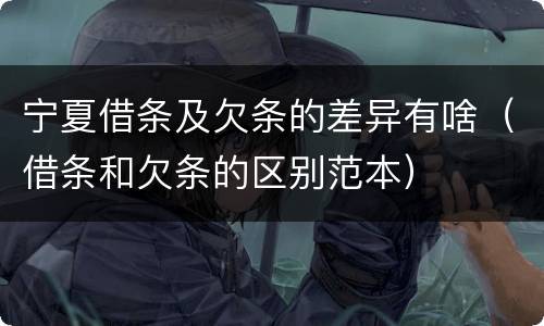 宁夏借条及欠条的差异有啥（借条和欠条的区别范本）