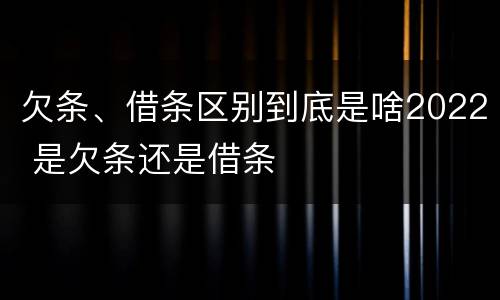 欠条、借条区别到底是啥2022 是欠条还是借条