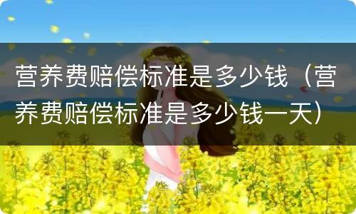 营养费赔偿标准是多少钱（营养费赔偿标准是多少钱一天）